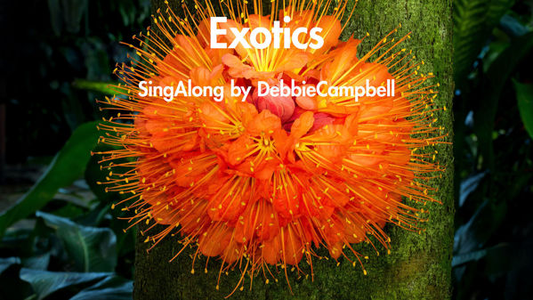 Show details for Exotics Picture of Exotics